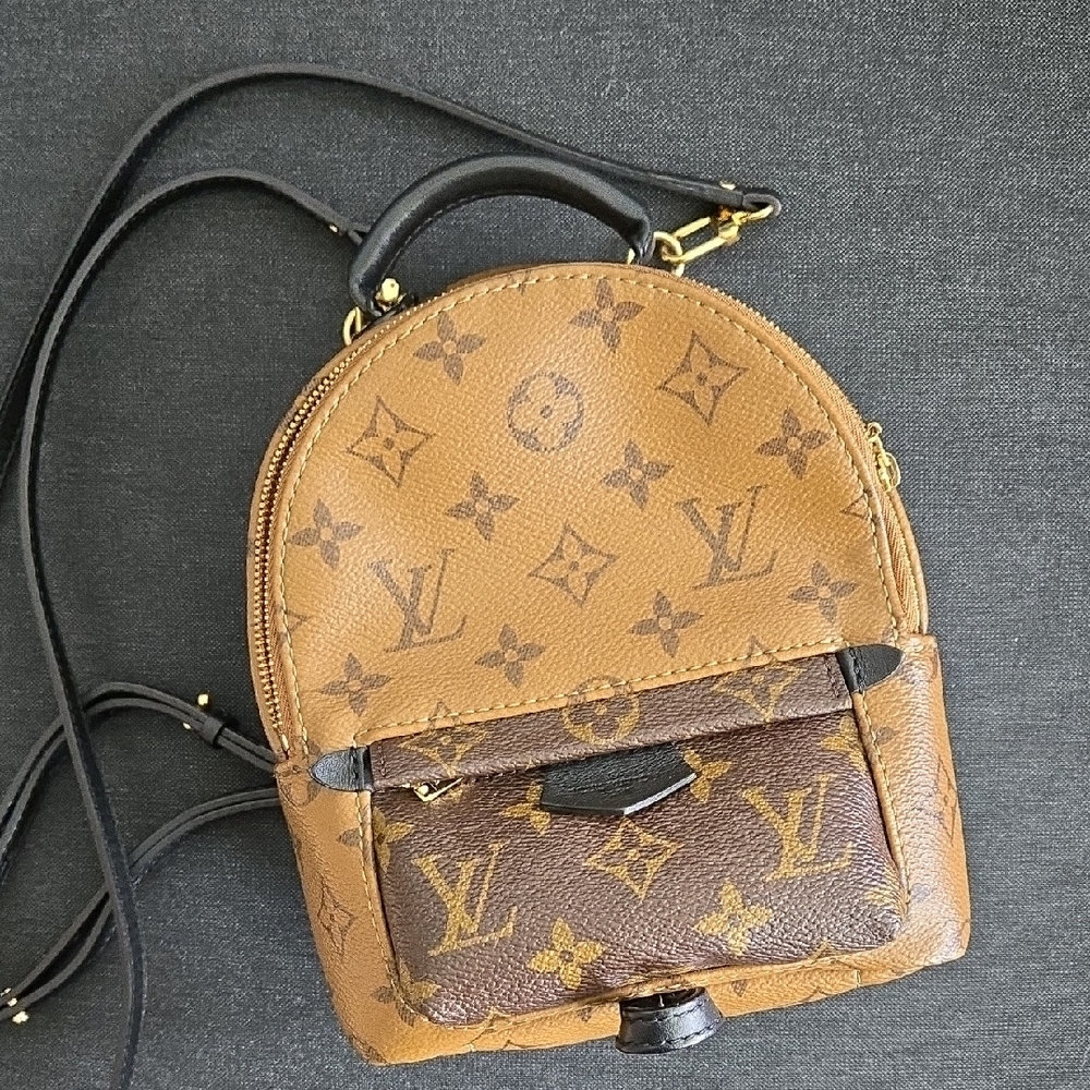 Louis Vuitton Palm Springs Mini In Reverse Monogram